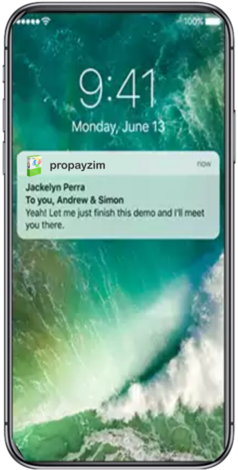 phone propay